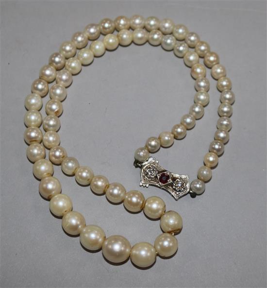 A single strand graduated cultured pearl necklace with 9ct white gold, ruby and diamond set clasp, 39cm.